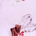 June Tabor - Aqaba CD