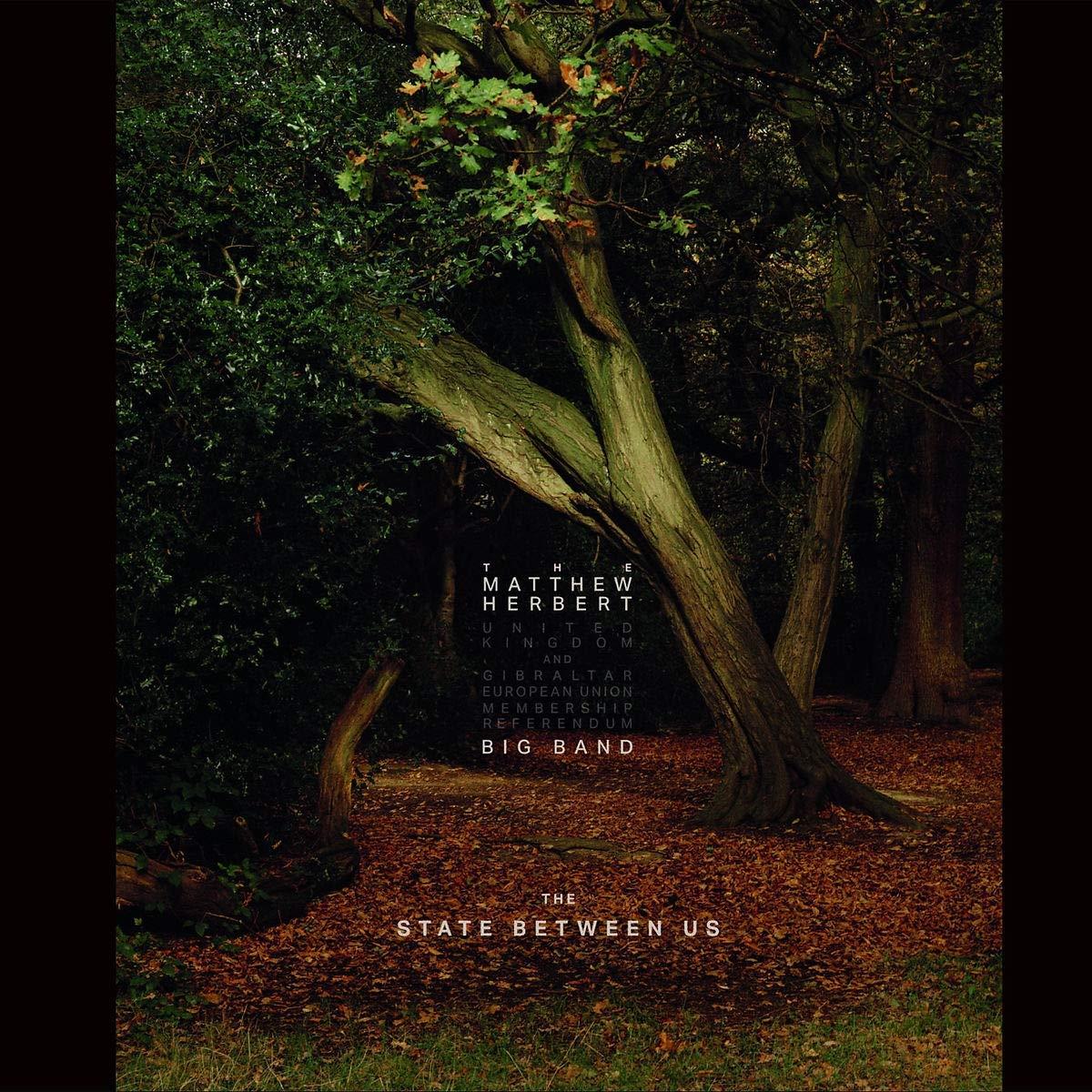 The Matthew Herbert Big Band - The State Between Us 3x Vinyl LP
