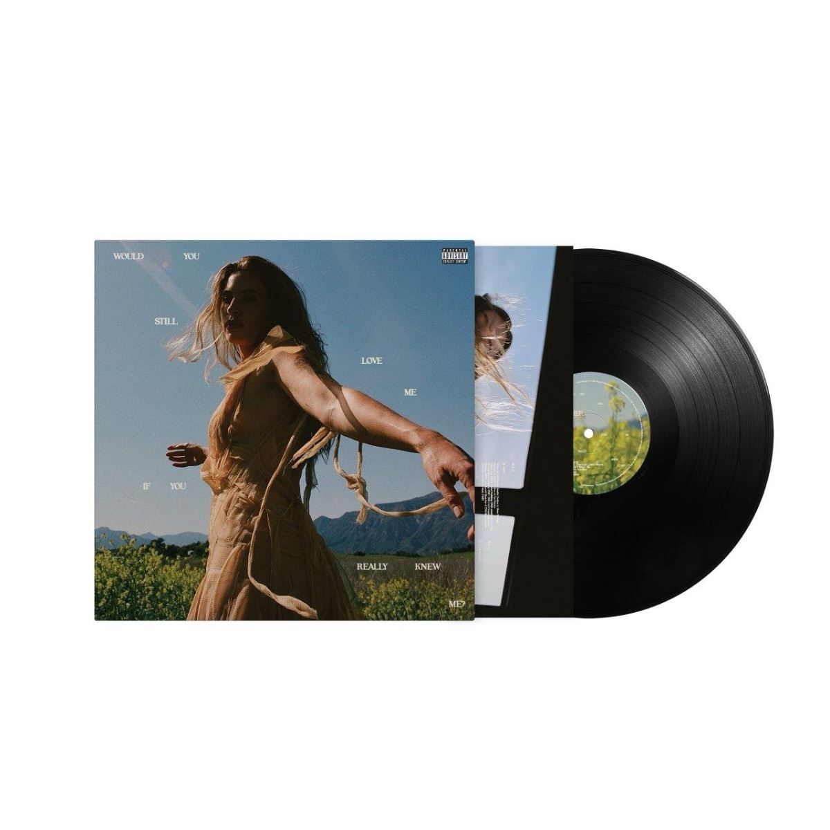 FLETCHER - Would You Still Love Me If You Really Knew Me?